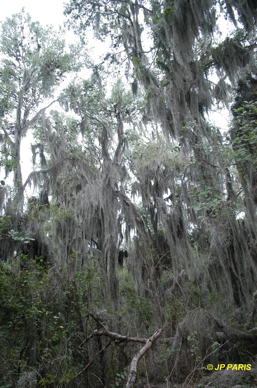 Santa Anna National Wildlife R